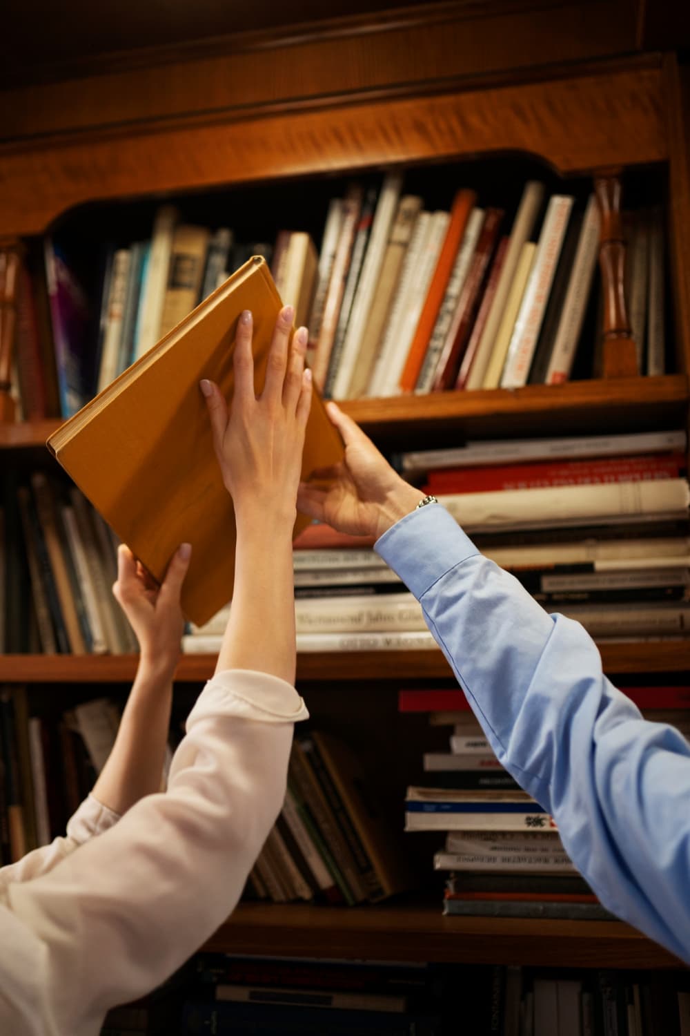 Scholarly Publication Support